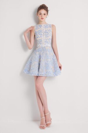 A-line-Boat-Neck-Embroidered-Lace-Mini-Dress-DeNio-alleiz-3