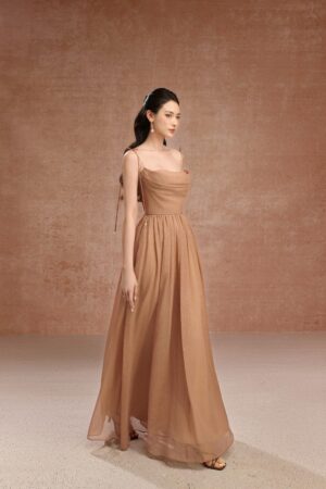 A-line-Cowl-Neck-Organza-Maxi-Dress-DeNio-alleiz-5