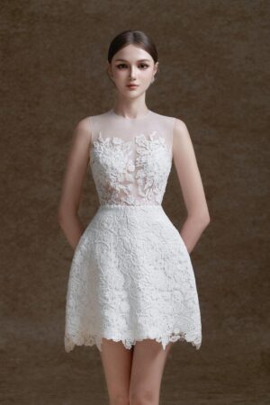 A-line-Sleeveless-Lace-Mini-Dress-Delicate-alleiz-2