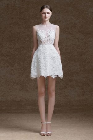 A-line-Sleeveless-Lace-Mini-Dress-Delicate-alleiz