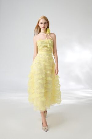 Fit-and-Flare-Straight-Across-Neck-Organza-Midi-Dress-Happy-Clothing-alleiz-6