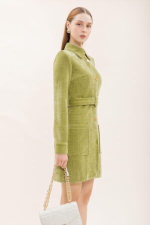 Sheath-Collared-Neck-Corduroy-Mini-Dress-Decos-alleiz-1